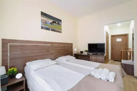 Комната Санкт-Петербург Итальянская ул., 12Е (18.0 м)