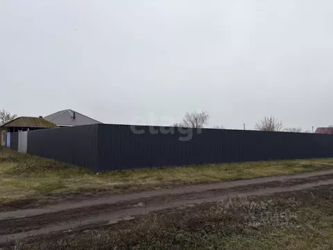 Участок в Воронежская область, Борисоглебский городской округ, с. ...
