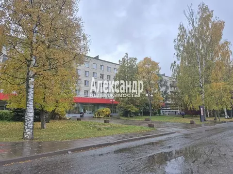 2-к кв. Ленинградская область, Отрадное Кировский район, Невская ул., ...