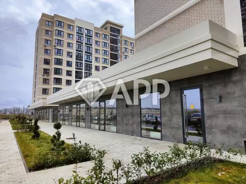 Торговая площадь в Краснодарский край, Краснодар ул. Шевцова, 8 (85 м)