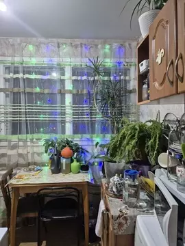 3-к кв. Санкт-Петербург ул. Солдата Корзуна, 3 (60.0 м)