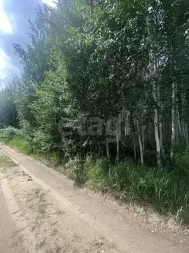 Участок в Тюменская область, Нижнетавдинский муниципальный округ, ...