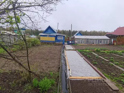 Дом в Пермский край, Березники № 26 СНТ, 60 (22 м)