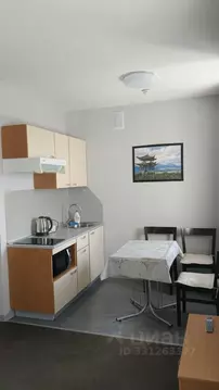 Студия Татарстан, Казань просп. Победы, 90 (25.0 м)
