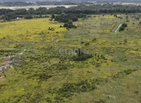 Участок в Калининградская область, Зеленоградский муниципальный округ, ...