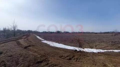 Участок в Волгоградская область, Среднеахтубинский район, Фрунзенское ...
