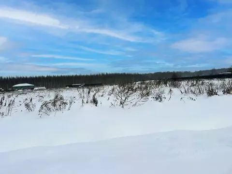 Участок в Московская область, Раменский муниципальный округ, Оттепель ...