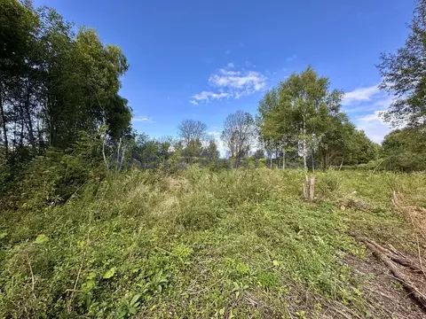 Участок в Ярославская область, Переславль-Залесский муниципальный ...