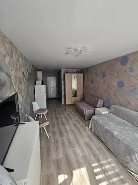 Студия Приморский край, Владивосток Окатовая ул., 14 (24.0 м)