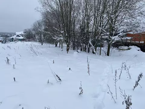 Участок в Московская область, Пушкинский городской округ, с. Ельдигино ...