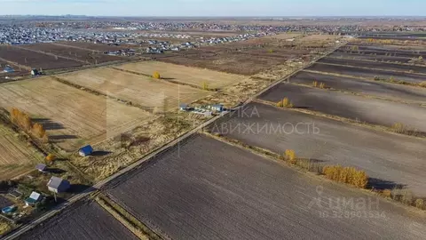 Участок в Тюменская область, Тюменский муниципальный округ, Пятница ...