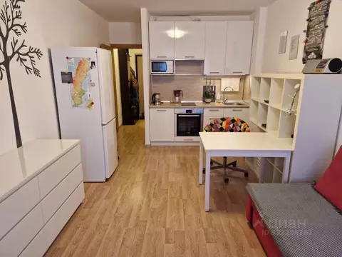 Студия Санкт-Петербург Кондратьевский просп., 64к9 (24.0 м)