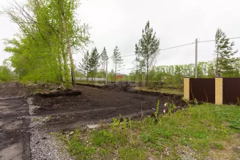 Участок в Тюменская область, Тюмень Звенящие Кедры Тюмени ДНП,  (7.0 ...