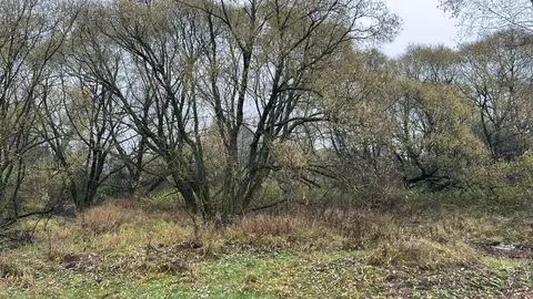 Участок в Московская область, Ступино городской округ, с. Чернышово  ...