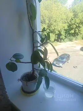 Комната Нижегородская область, Нижний Новгород ул. Подводников, 5 ...