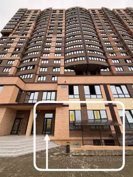 Торговая площадь в Краснодарский край, Краснодар Догма Парк мкр, ул. ...