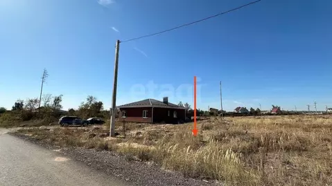 Участок в Воронежская область, Рамонский район, Новоживотинновское ...