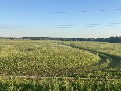 Участок в Смоленская область, Смоленский муниципальный округ, д. ...