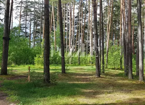 Участок в Ленинградская область, Приозерский район, Петровское с/пос, ...