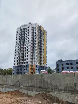 Студия Тверская область, Тверь ул. Коминтерна, 91/14 (31.0 м)