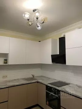 1-к кв. Москва Рябиновая ул., 3к2 (43.0 м)