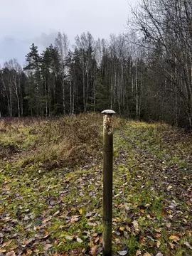 Участок в Ленинградская область, Тосненский район, Любанское городское ...
