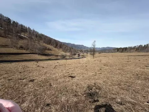 Участок в Алтай, Чемальский район, с. Чемал  (250.0 сот.)