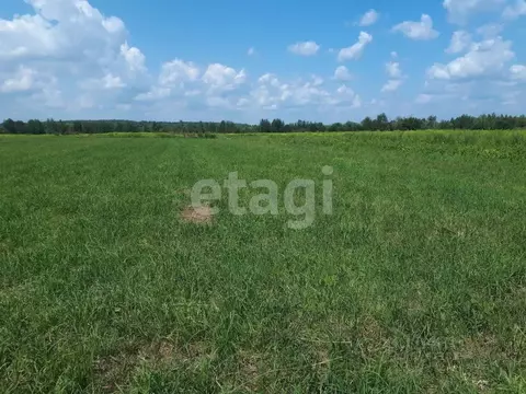 Участок в Брянская область, Брянский район, Отрадненское с/пос, с. ...