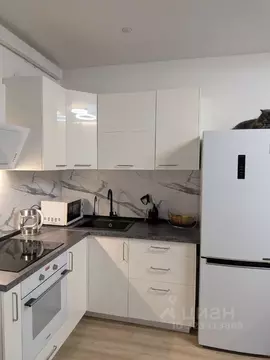 Студия Санкт-Петербург ул. Плесецкая, 10 (22.8 м)