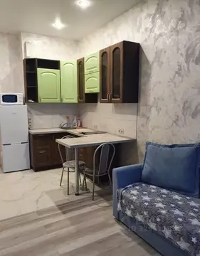 Студия Московская область, Люберцы Красноармейская ул., 19 (25.0 м)