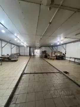 Помещение свободного назначения в Рязанская область, Рыбновский район, ...