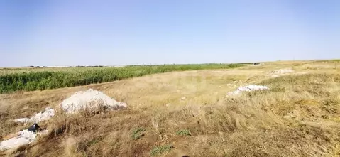 Участок в Крым, Феодосия Колос СПК, ул. Победы (6.0 сот.)