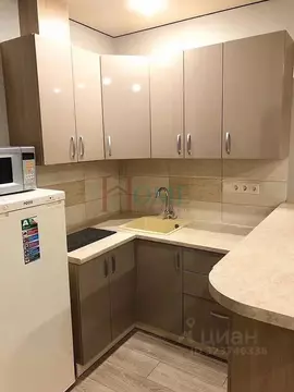 Студия Новосибирская область, Новосибирск ул. Кошурникова, 22 (26.0 м)