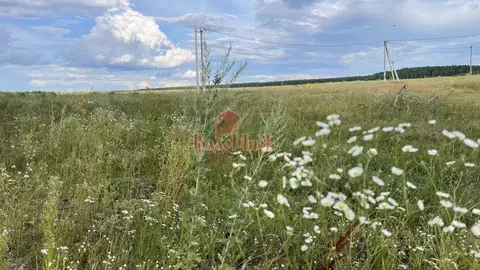Участок в Владимирская область, Александровский муниципальный округ, ...