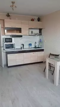 Студия Санкт-Петербург пос. Шушары, ул. Валдайская, 1 (25.0 м)