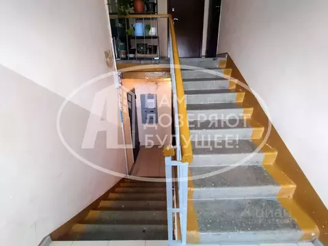 3-к кв. Пермский край, Кунгур ул. Ситникова, 80 (62.5 м)