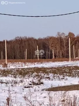 Участок в Барлакский сельсовет, территория ТСН Времена года, ...