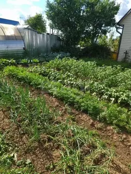 Дом в Кировская область, Киров Сельский Строитель-Радужный СДТ, 211 ...