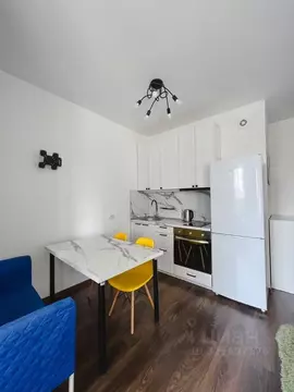 Студия Санкт-Петербург ул. Ультрамариновая, 4 (24.3 м)