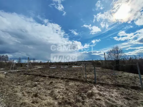 Участок в Владимирская область, Александровский муниципальный округ, ...