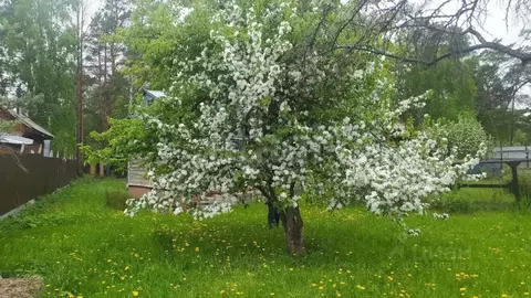Дом в Новосибирская область, Новосибирск Садоводческого товарищества ...