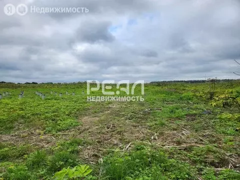 Участок в Волосовский район, деревня Большая Вруда (15 м)