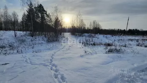 Участок в Пермский край, Пермский муниципальный округ, д. Ермозы  (7.1 ...