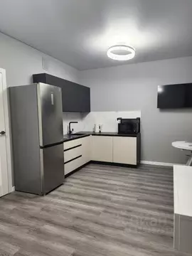 Студия Санкт-Петербург просп. Обуховской обороны, 36 (26.0 м)