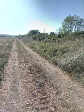 Участок в Краснодарский край, Новороссийск городской округ, ...