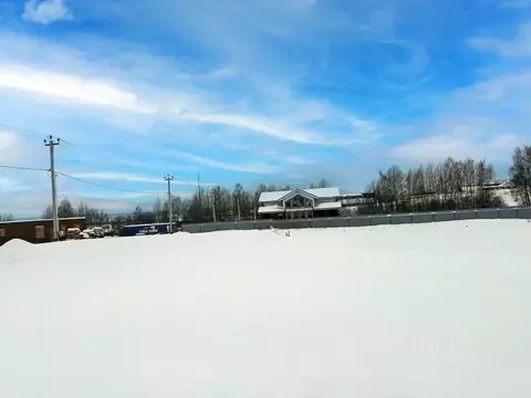 Участок в Московская область, Дмитровский муниципальный округ, Сбоево ...