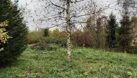 Участок в Московская область, Дмитровский муниципальный округ, д. ...