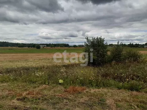 Участок в Брянская область, Выгоничский район, Орменское с/пос, пос. ...