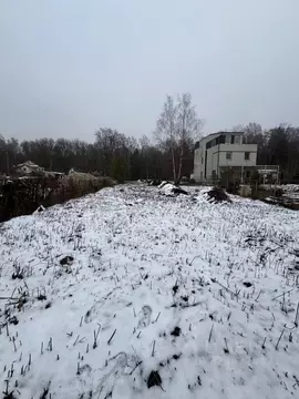 Участок в Калининградская область, Калининград Дивное СНТ, ул. Лесная, ...