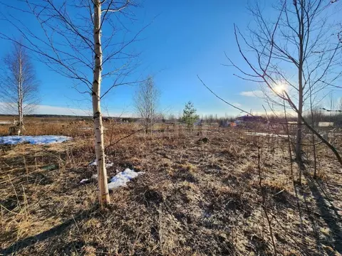 Участок в Марий Эл, Йошкар-Ола городской округ, д. Шоя-Кузнецово ...
